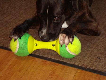 Buster