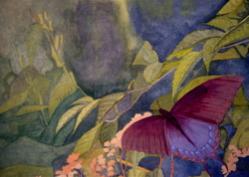 Butterfly painting I did