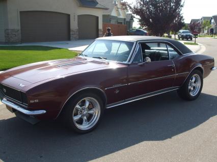 camaro pic 2