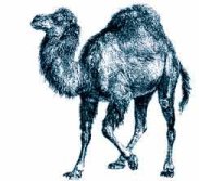 camel step