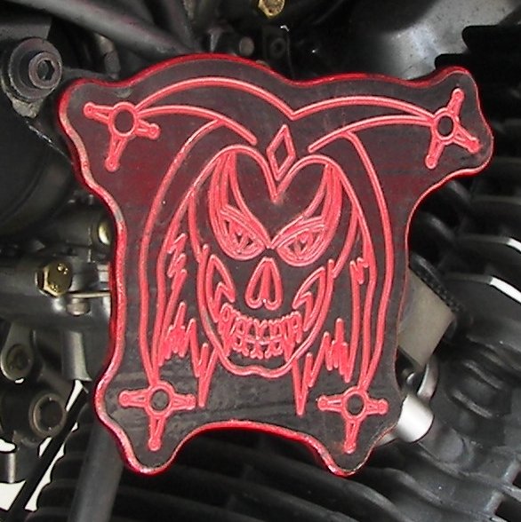 carb cover