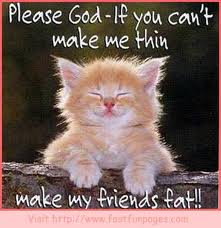 cat thin