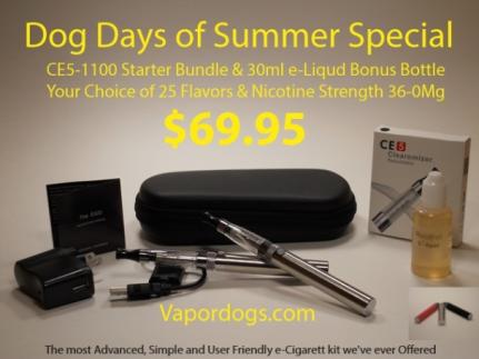 CE5 Summer Special 608x456