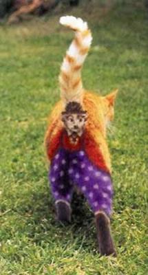 Charlie Chaplan cat