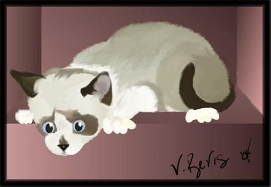 Chip as a kitten, pre, Wacom, using mouse and Gimp