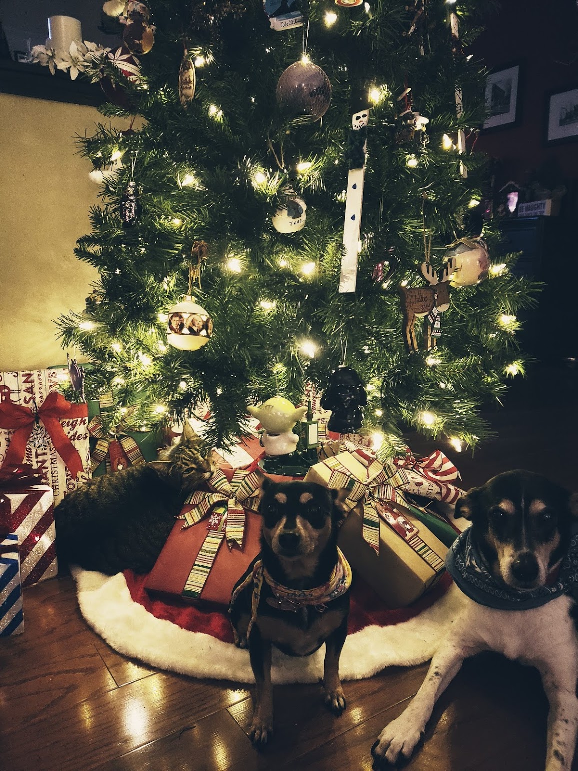 Christmas '19