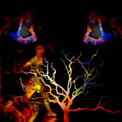 color tree run