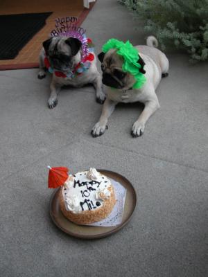 "Come on, make your wish already!"