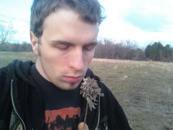 dead flower