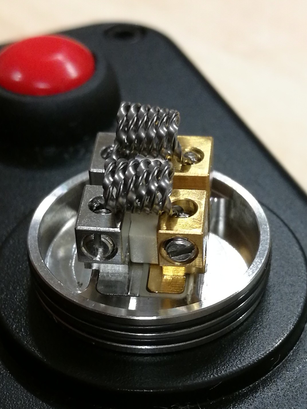 dead_rabbit_coiled