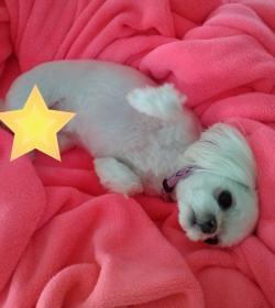 demanding tummy rubs