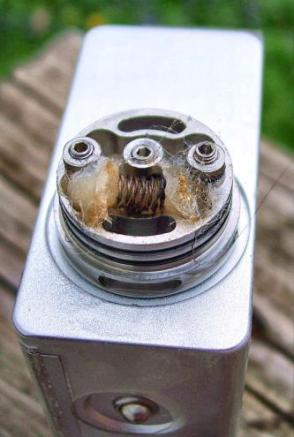 dna40