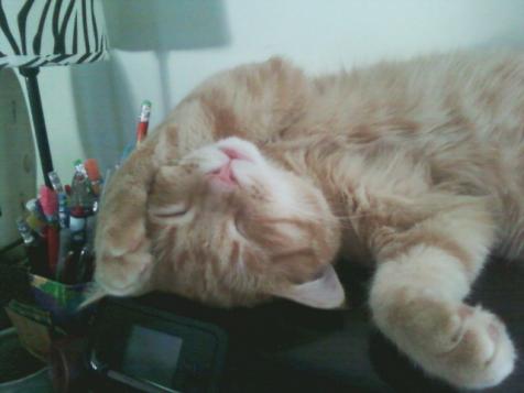Dobbie Aka fattie boy