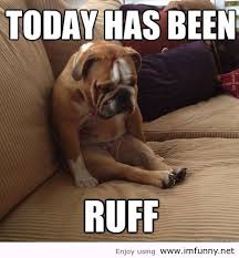 dog ruff