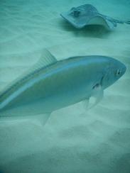 DSCN0962