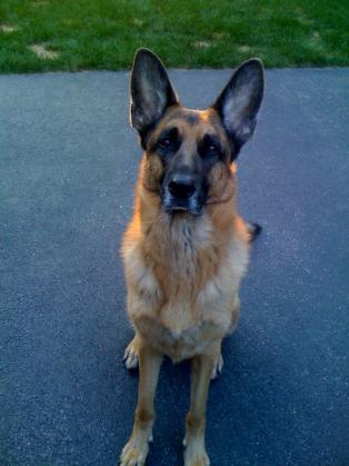 Duke