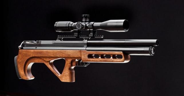 edgun1