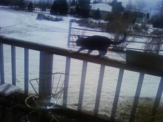 Ewwww! What'd you do to my yard mom? What IS this stuff? It's wet!