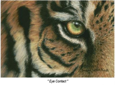 Eye Contact