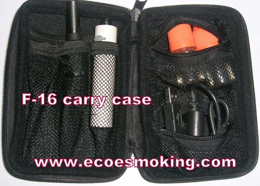 f 16 case