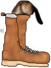 ferret boot insole