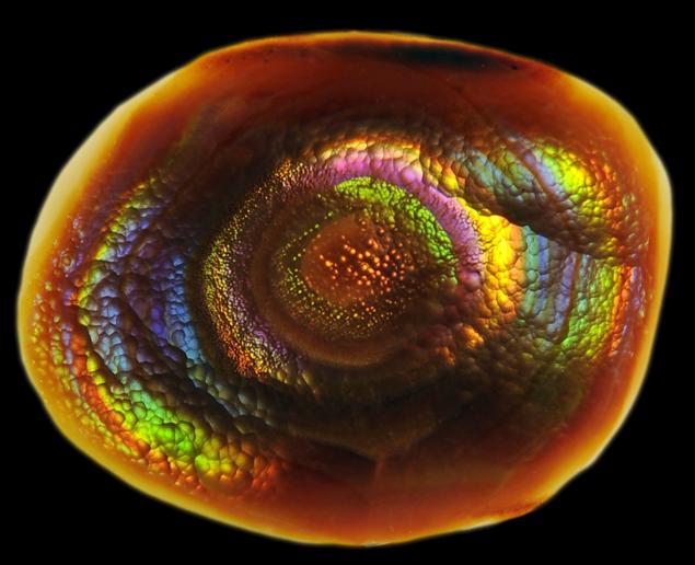 fire agate from heaven!