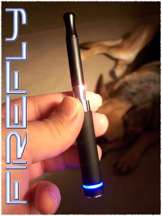 FIREFLY - Liberty Flights Contest runner up prize