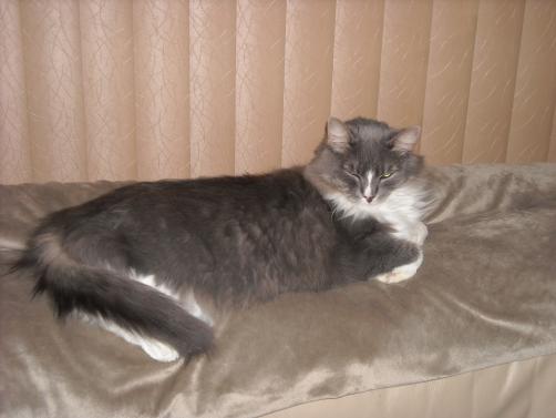 Fluffy