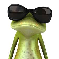 frog cool shades
