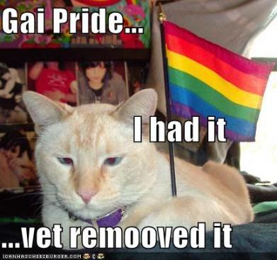 gaipride