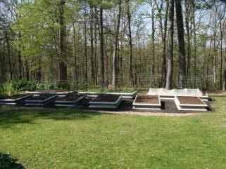 garden beds 001