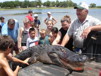 gator3