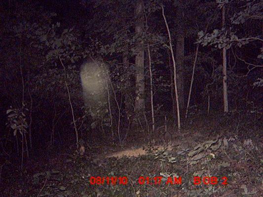 Ghost