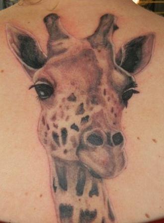 giraffe
