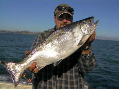 Golden Gate Salmon