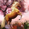 golden unicorn tb
