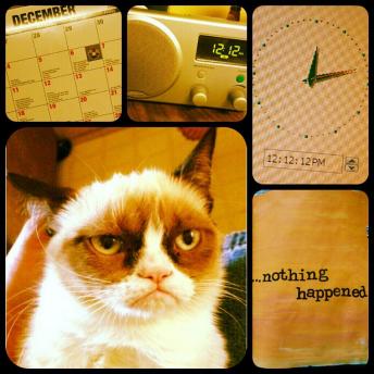 Grumpy Cat (1)