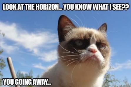 Grumpy Cat (10)