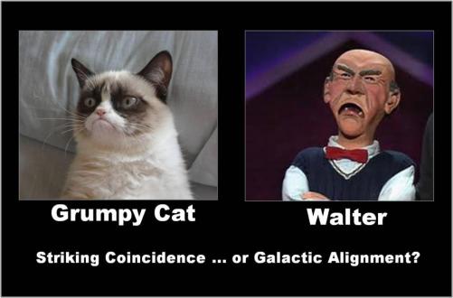 Grumpy Cat (11)