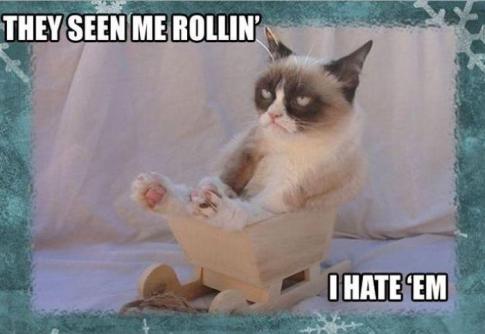 Grumpy Cat (12)
