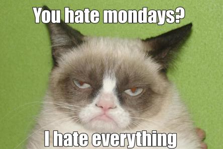 Grumpy Cat (13)