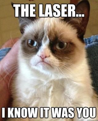 Grumpy Cat (14)