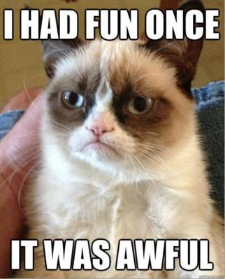 Grumpy Cat (17)