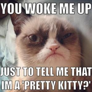 Grumpy Cat (18)