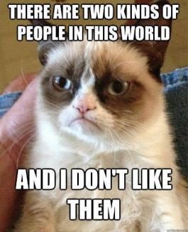 Grumpy Cat (19)