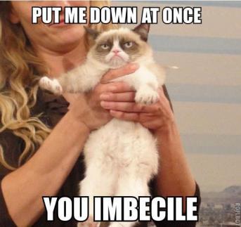 Grumpy Cat (20)
