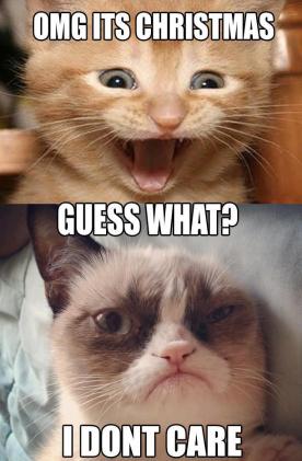 Grumpy Cat (22)