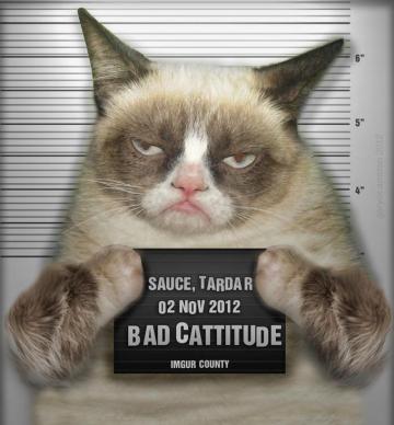 Grumpy Cat (26)
