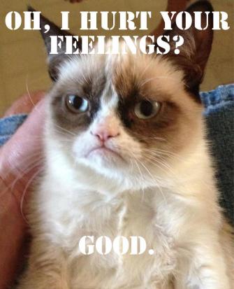 Grumpy Cat (27)