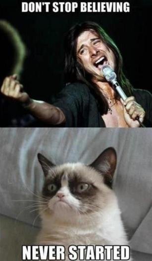 Grumpy Cat (28)